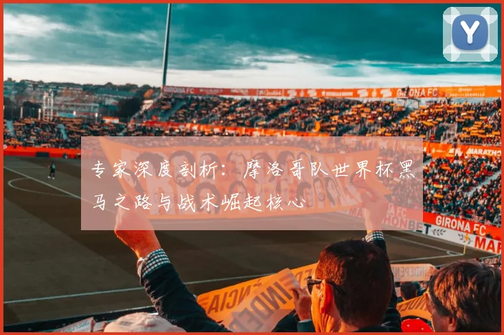 专家深度剖析：摩洛哥队世界杯黑马之路与战术崛起核心